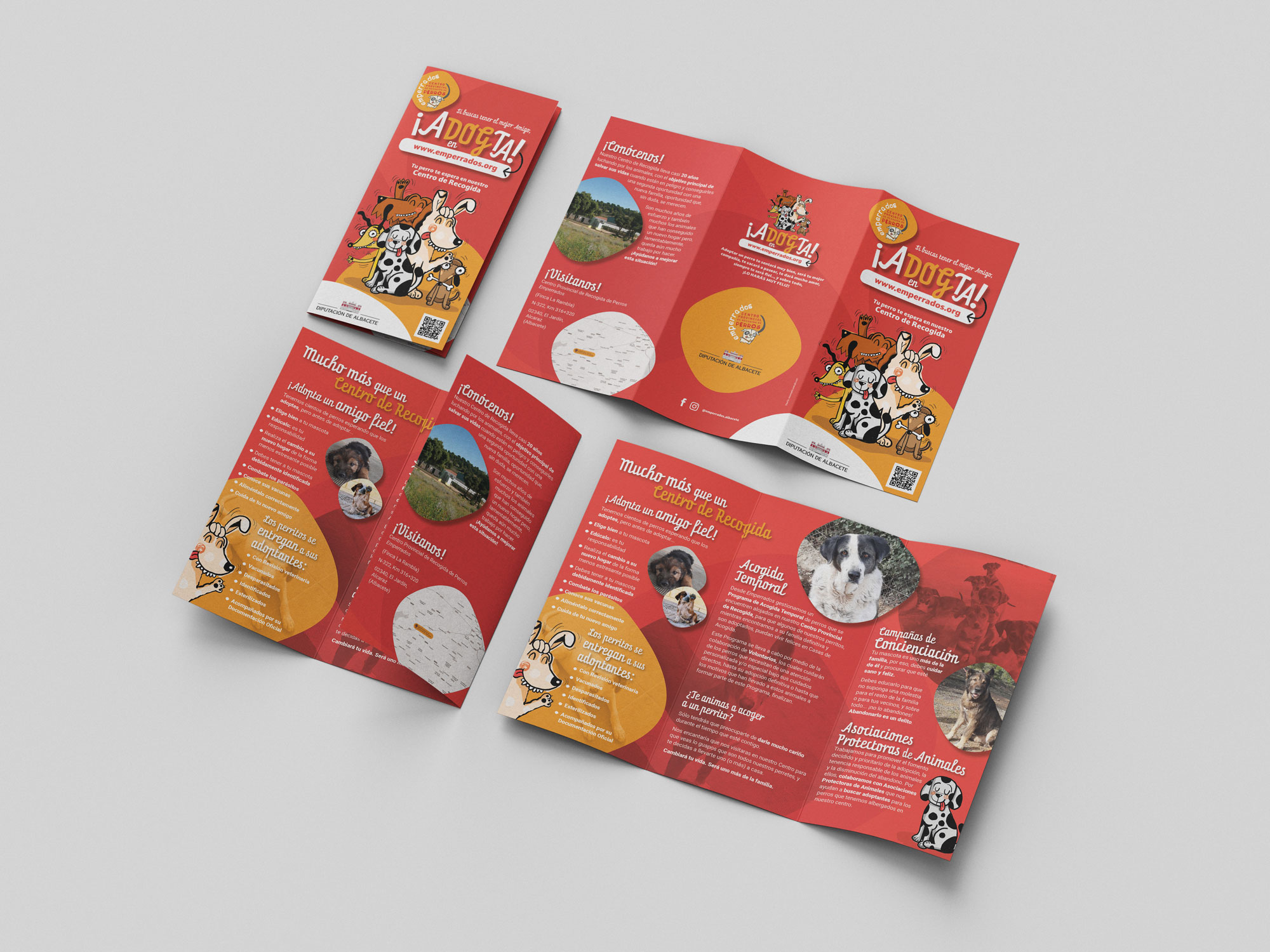 triptico_adogta_emperrados_diputacion_albacete_campanhas_balticoestudio